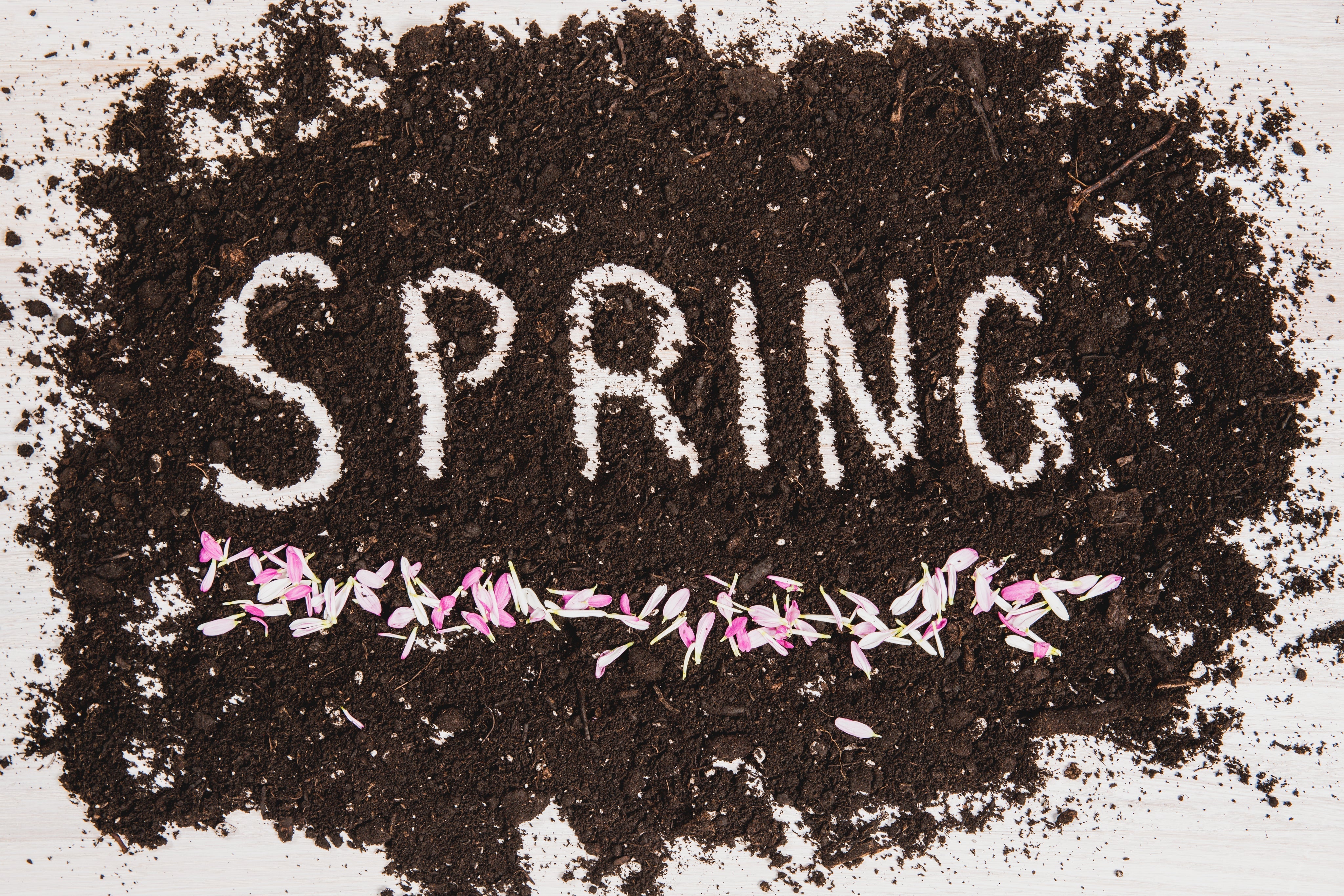 Step Into Spring with Fresh Finds at S.M. & Co.